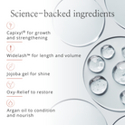 6-in-1 Perfect Lash Mascara by Studio10 | The Best Mascara for Older Women